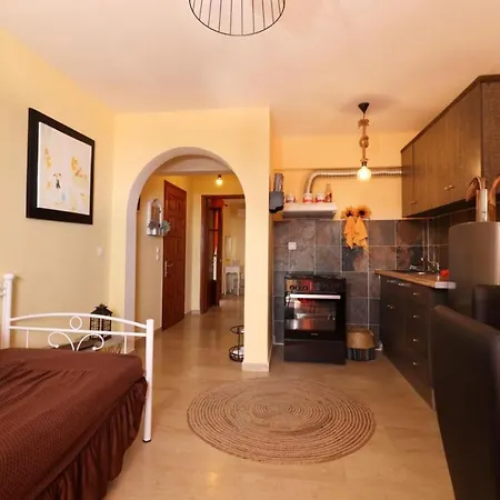 Vicky's House Διαμέρισμα